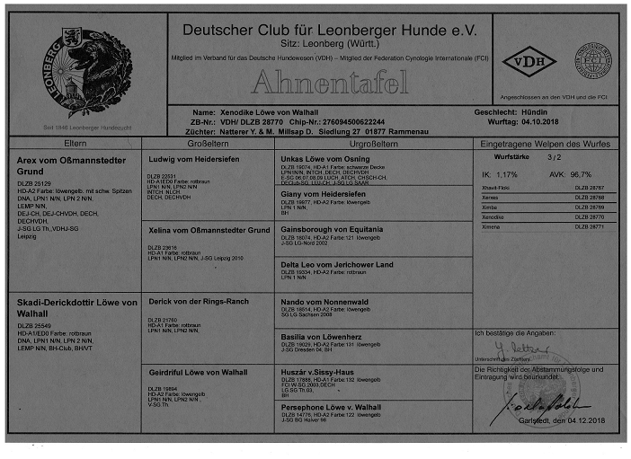 Pedigree XenodikeHP